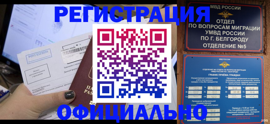 прописка для кредита в Дубне